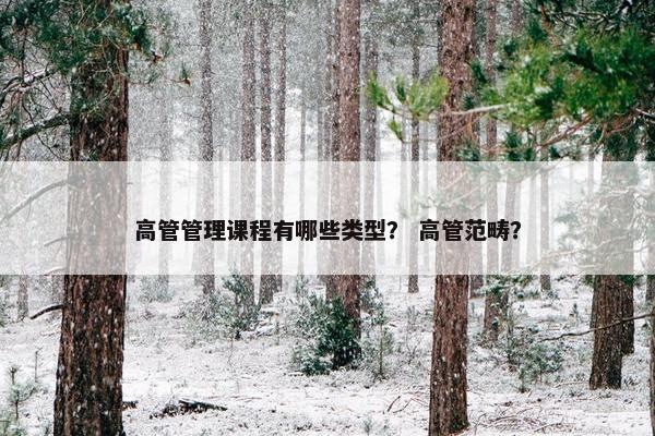 高管管理课程有哪些类型？ 高管范畴？