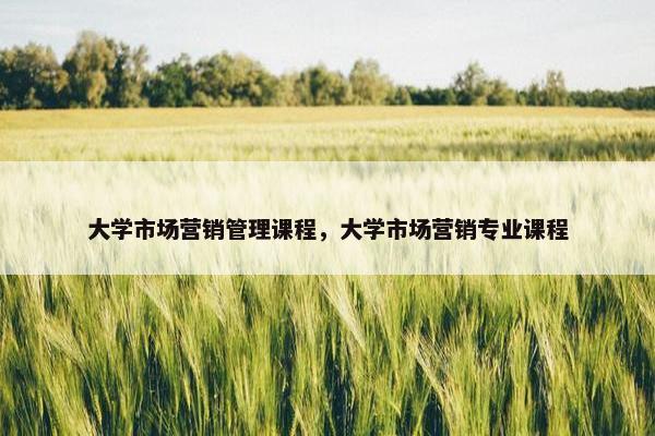 大学市场营销管理课程，大学市场营销专业课程