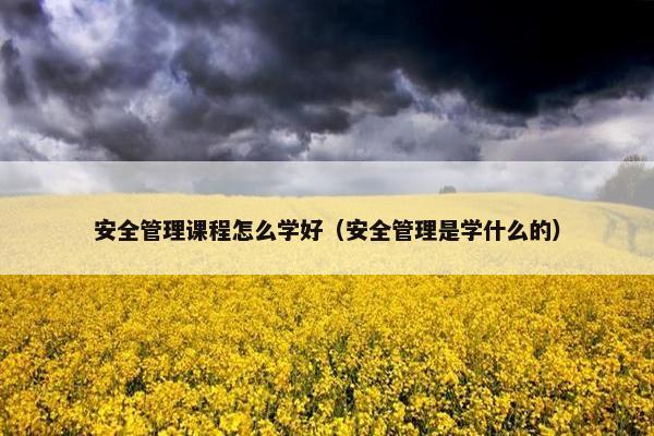 安全管理课程怎么学好（安全管理是学什么的）