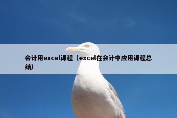 会计用excel课程（excel在会计中应用课程总结）