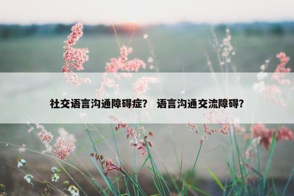 社交语言沟通障碍症？ 语言沟通交流障碍？
