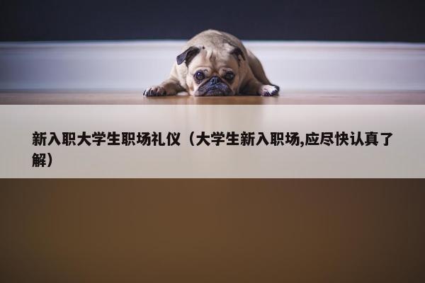 新入职大学生职场礼仪（大学生新入职场,应尽快认真了解）