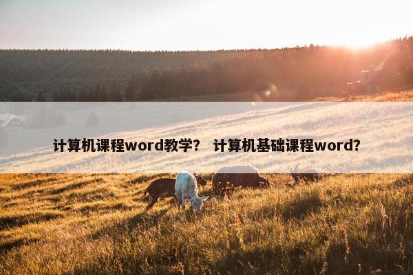 计算机课程word教学？ 计算机基础课程word？
