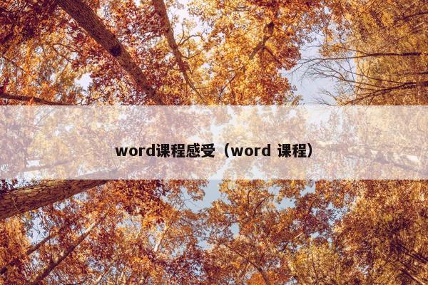 word课程感受（word 课程）