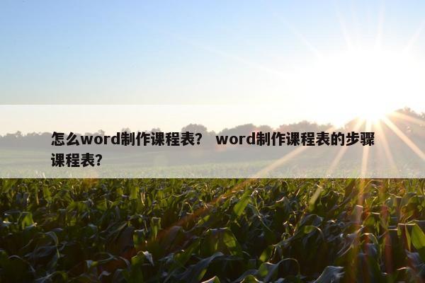 怎么word制作课程表？ word制作课程表的步骤课程表？