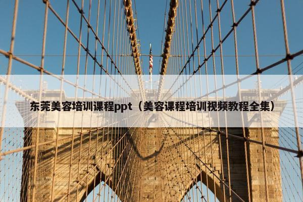 东莞美容培训课程ppt（美容课程培训视频教程全集）