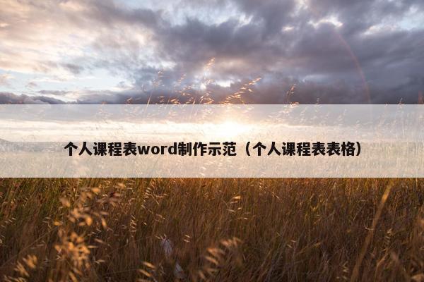 个人课程表word制作示范（个人课程表表格）