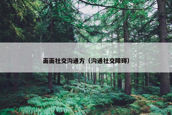 面面社交沟通方（沟通社交障碍）