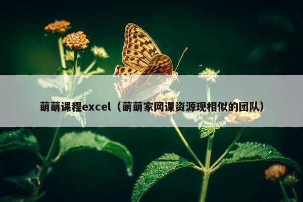 萌萌课程excel（萌萌家网课资源现相似的团队）