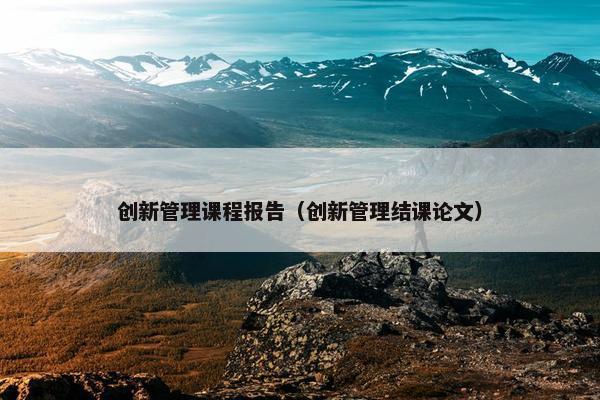 创新管理课程报告（创新管理结课论文）