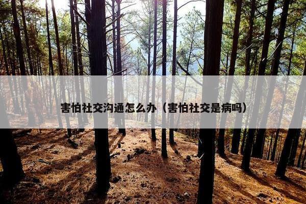 害怕社交沟通怎么办（害怕社交是病吗）