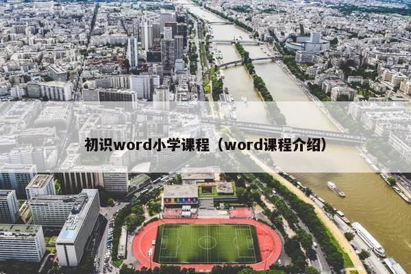 初识word小学课程（word课程介绍）