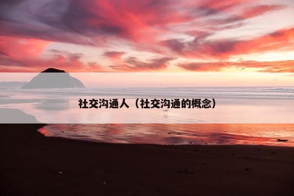 社交沟通人（社交沟通的概念）