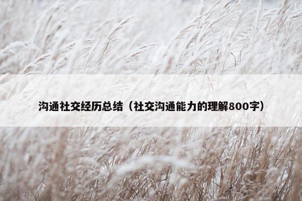 沟通社交经历总结（社交沟通能力的理解800字）