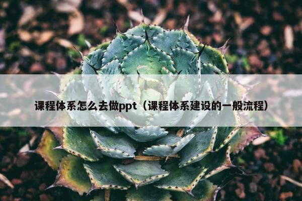 课程体系怎么去做ppt（课程体系建设的一般流程）