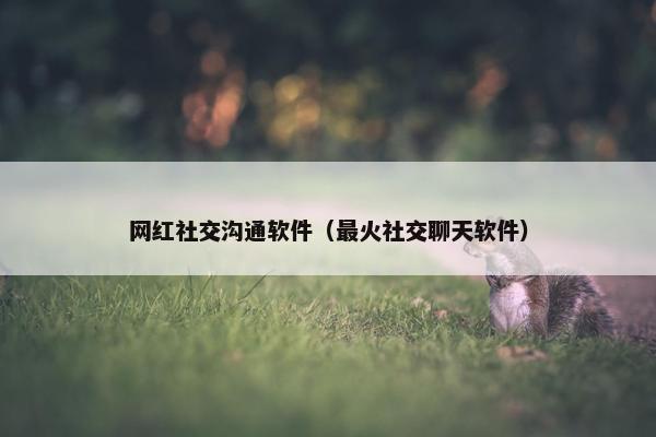 网红社交沟通软件（最火社交聊天软件）
