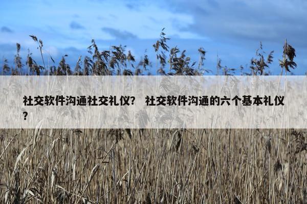社交软件沟通社交礼仪？ 社交软件沟通的六个基本礼仪？