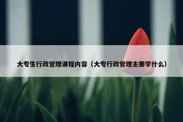 大专生行政管理课程内容（大专行政管理主要学什么）