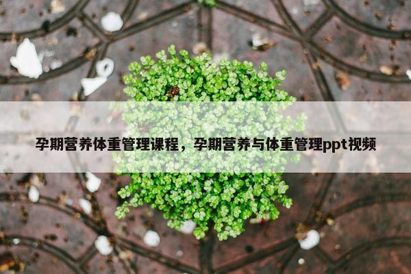 孕期营养体重管理课程，孕期营养与体重管理ppt视频