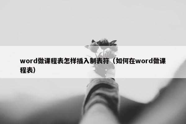 word做课程表怎样插入制表符（如何在word做课程表）