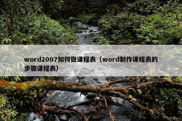 word2007如何做课程表（word制作课程表的步骤课程表）
