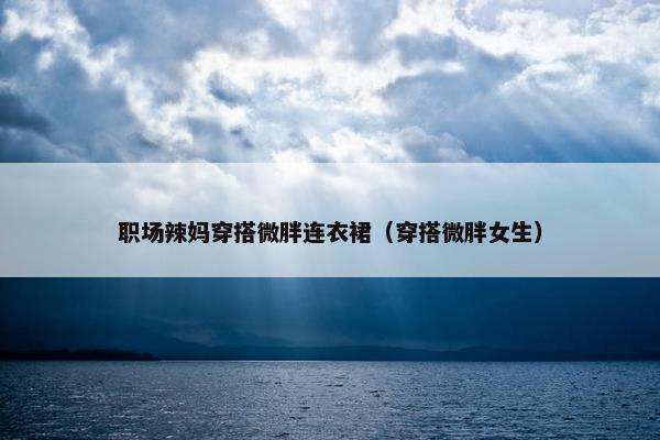 职场辣妈穿搭微胖连衣裙（穿搭微胖女生）