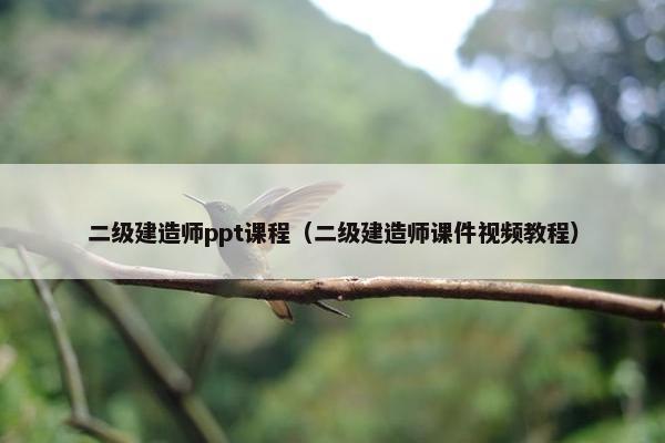 二级建造师ppt课程（二级建造师课件视频教程）