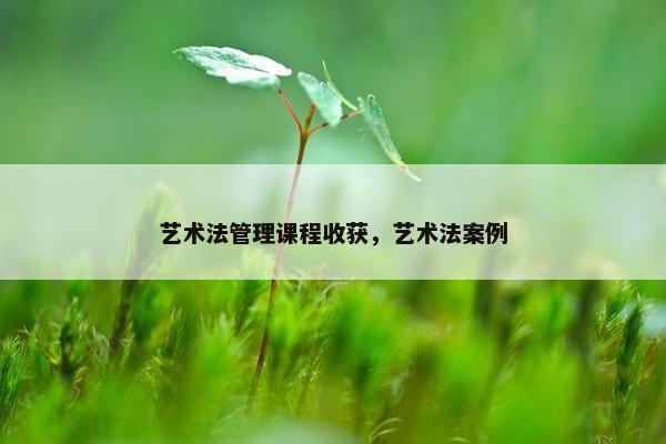 艺术法管理课程收获，艺术法案例