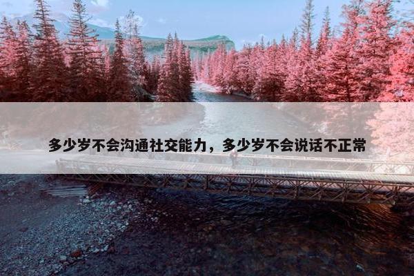 多少岁不会沟通社交能力，多少岁不会说话不正常