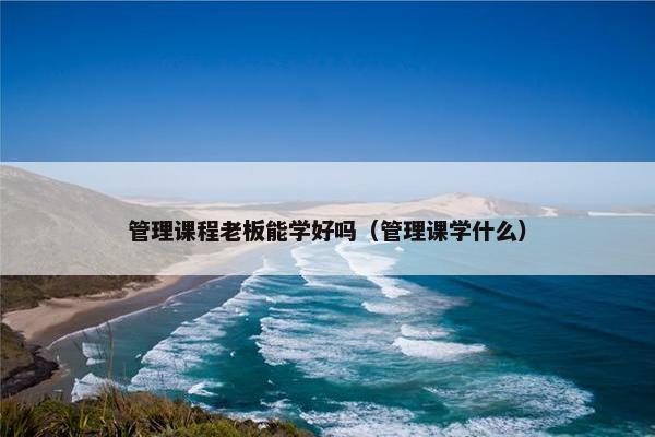 管理课程老板能学好吗（管理课学什么）