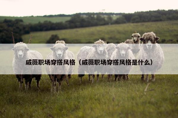 戚薇职场穿搭风格（戚薇职场穿搭风格是什么）