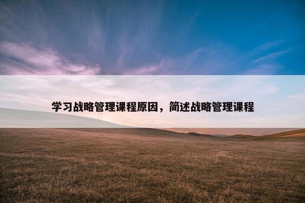 学习战略管理课程原因，简述战略管理课程