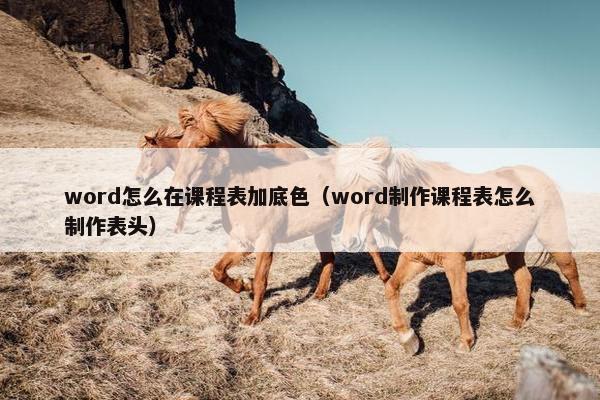 word怎么在课程表加底色（word制作课程表怎么制作表头）