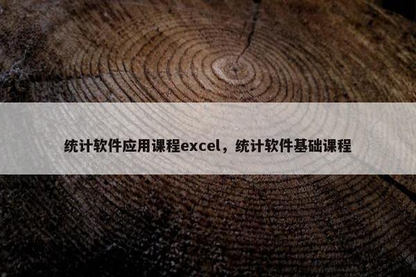 统计软件应用课程excel，统计软件基础课程