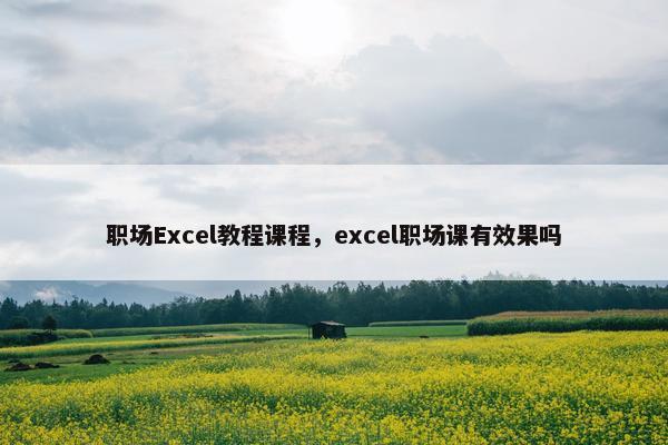职场Excel教程课程，excel职场课有效果吗