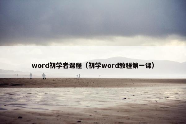 word初学者课程（初学word教程第一课）