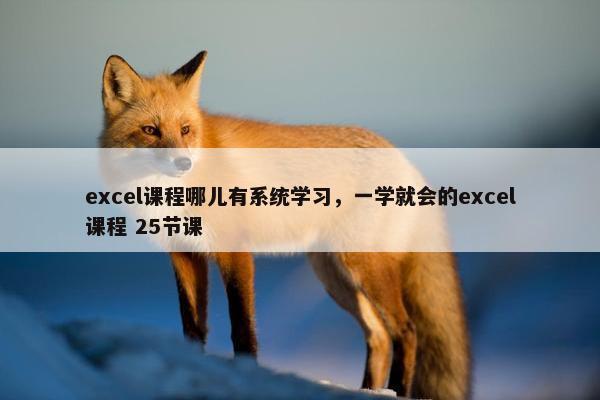 excel课程哪儿有系统学习，一学就会的excel课程 25节课