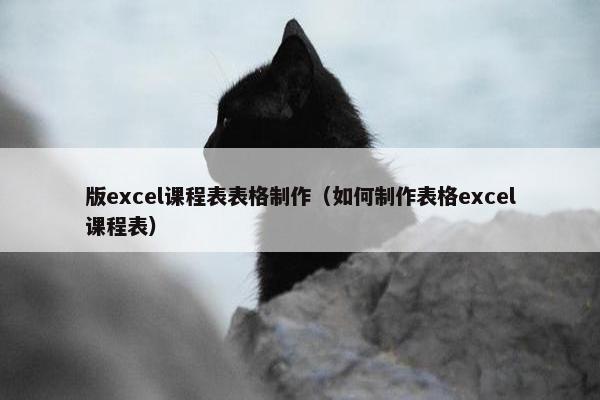 版excel课程表表格制作（如何制作表格excel课程表）