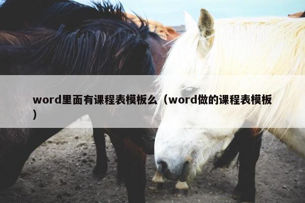 word里面有课程表模板么（word做的课程表模板）