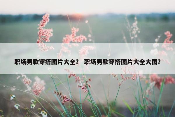 职场男款穿搭图片大全？ 职场男款穿搭图片大全大图？