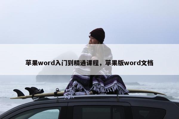 苹果word入门到精通课程，苹果版word文档
