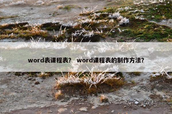 word表课程表？ word课程表的制作方法？