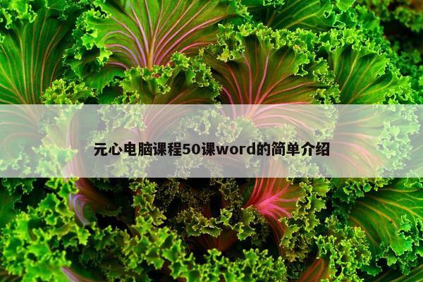 元心电脑课程50课word的简单介绍
