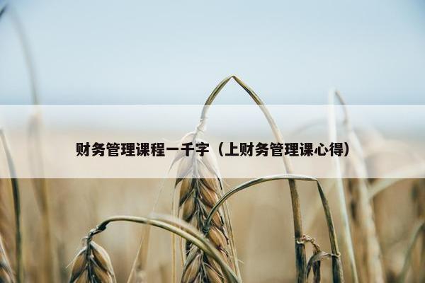 财务管理课程一千字（上财务管理课心得）