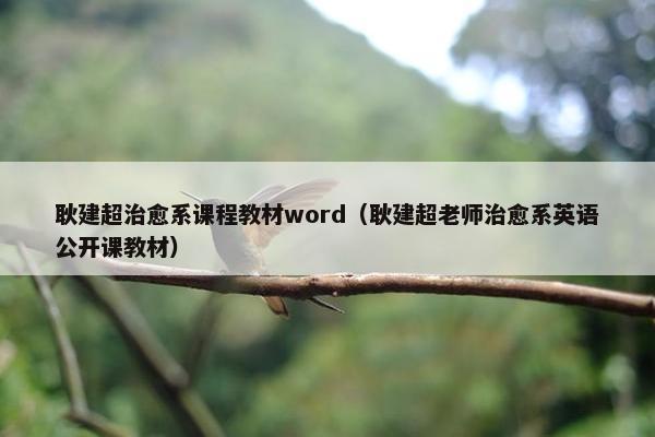 耿建超治愈系课程教材word（耿建超老师治愈系英语公开课教材）