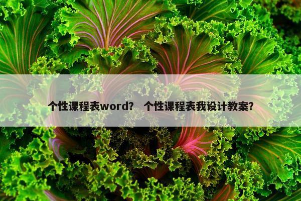 个性课程表word？ 个性课程表我设计教案？