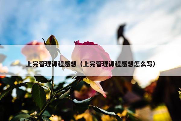 上完管理课程感想（上完管理课程感想怎么写）