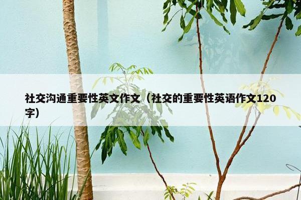 社交沟通重要性英文作文（社交的重要性英语作文120字）