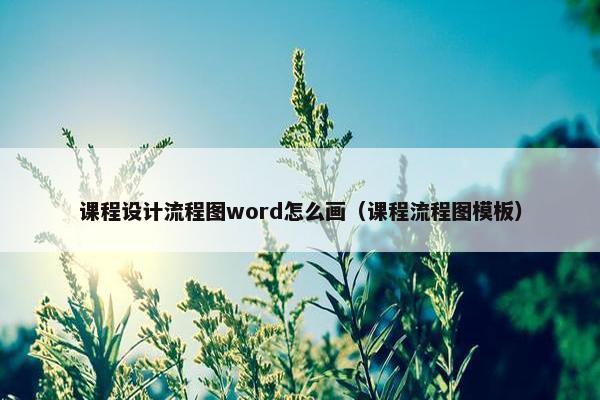 课程设计流程图word怎么画（课程流程图模板）