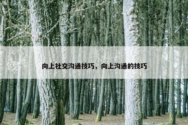 向上社交沟通技巧，向上沟通的技巧